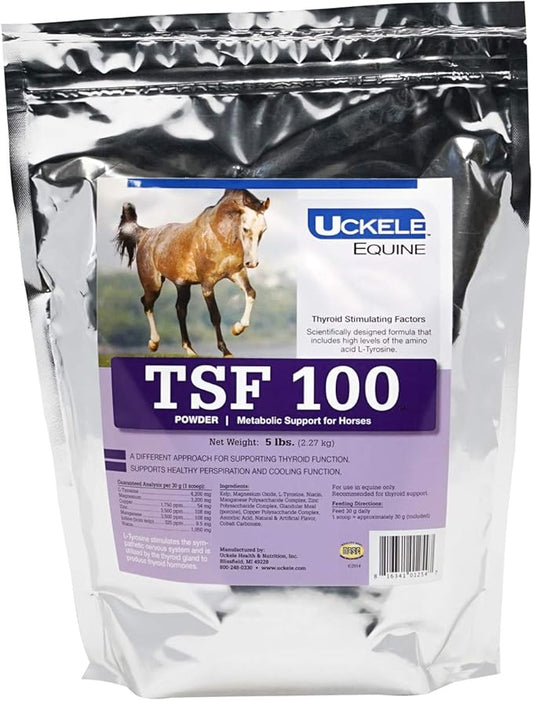 Uckele Equine TSF 100 Horse Supplement - Metabolic Support Powder for Horses - Equine Mineral Supplement - 5 pound (lb)