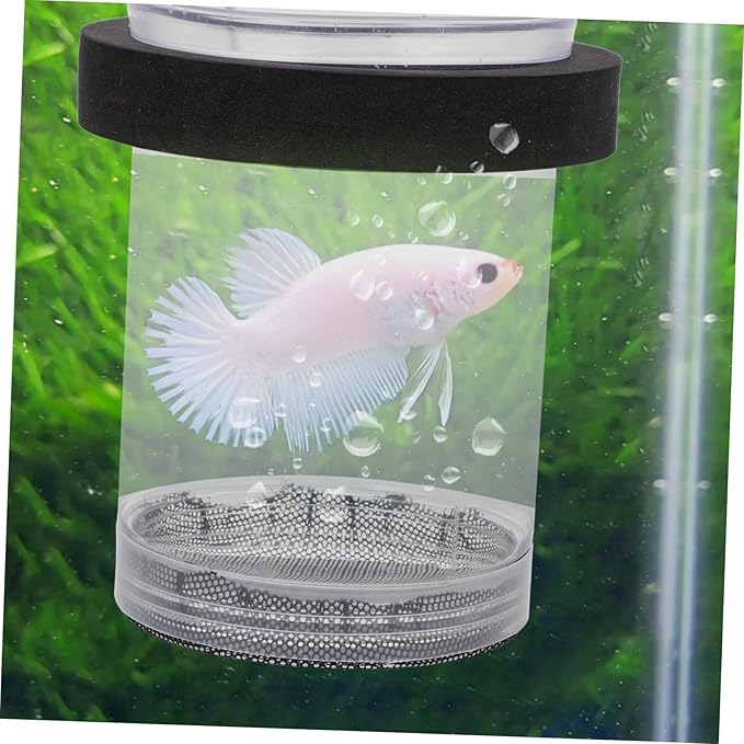 Box Container Floating Fish Tank Hatching Incubator Fish breeding cage Small Fish Tank Tank Breeding Box Betta Fish Big Set Fish Incubator