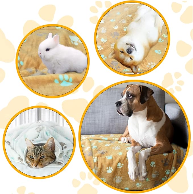 Dog Blankets (30x20 inch, 3 Pack) - Soft Fleece, Washable, Cute Paw Print, for Medium Dogs, Pet Blanket for All Pets