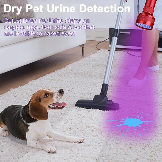 UV Flashlight Black Light, 51 LED Mini Blacklight Flashlite Pet Urine Detector for Dry Dog/Cat Pee Urine Stains Detection Cleaner, Bed Bug, Scorpions Hunting