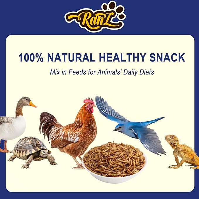 10LBS Non-GMO Dried Mealworms for Chickens, High Protein Meal Worms, Premium Chicken Feed, Perfect Bird Food and Chicken Treats, Whole Large Mealworms for Wild Birds, Ducks, Fish