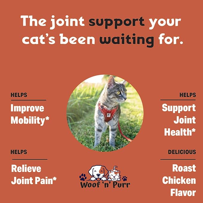 Glucosamine for Cats - Cat Glucosamine - Glucosamine for Cats Liquid - Cat Joint Supplement - Joint Supplement for Cats - Cat Joint Pain Relief - Joint Support for Cats - 1 fl oz - Chicken Flavor