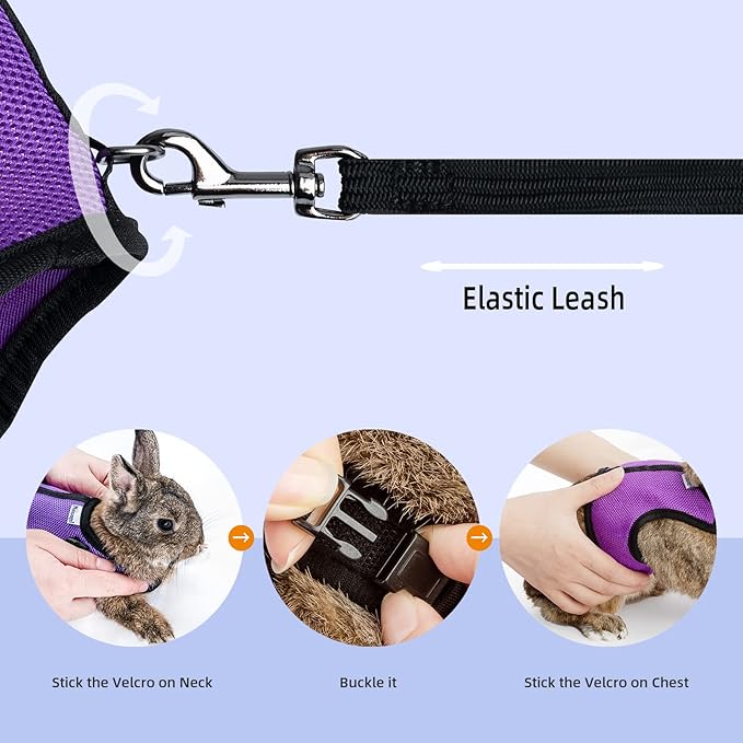 Niteangel Adjustable Soft Harness with Elastic Leash for Rabbits (L, Purple)