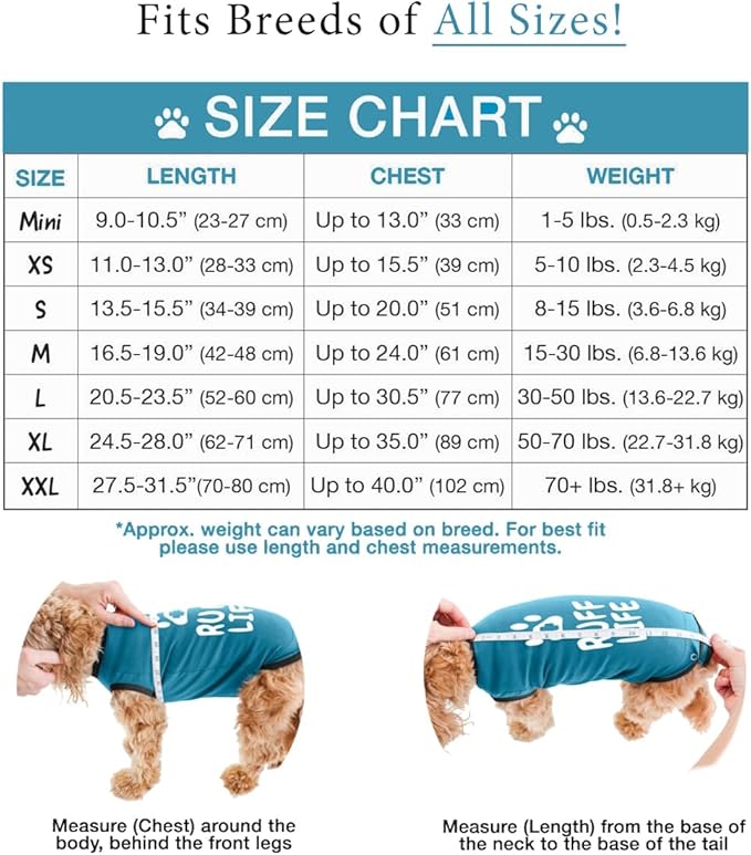 BellyGuard Recovery Suit for Dogs, After Surgery Dog Recovery Suit Female and Male, Soft Cotton Dog Surgery Suit Female Spay, Dog Surgical Recovery Suit Male Neuter, Comfy Surgical Onesie for Dogs.