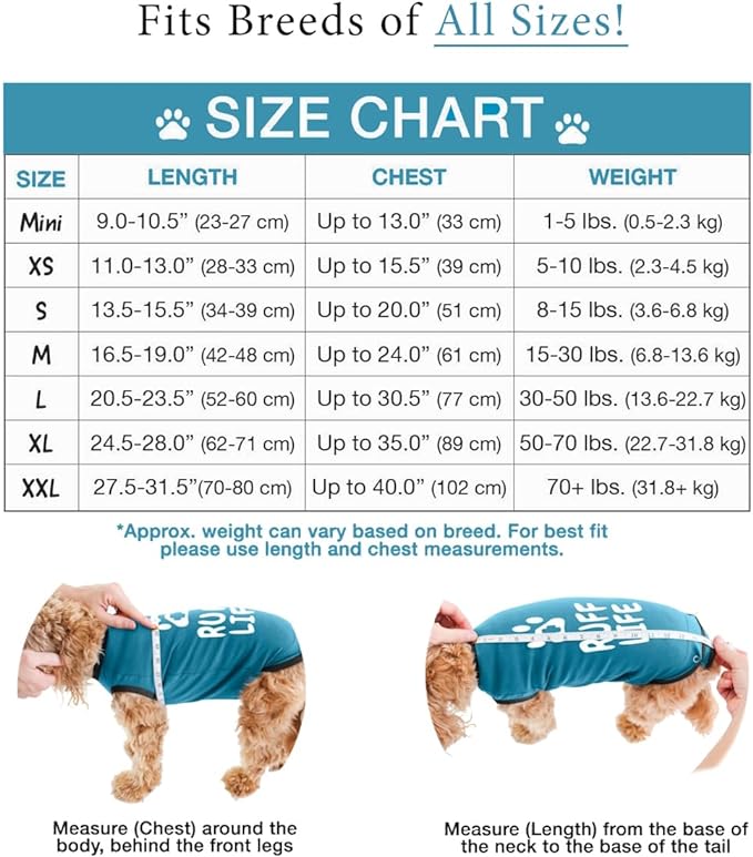 BellyGuard Recovery Suit for Dogs, After Surgery Dog Recovery Suit Female and Male, Soft Cotton Dog Surgery Suit Female Spay, Dog Surgical Recovery Suit Male Neuter, Comfy Surgical Onesie for Dogs.