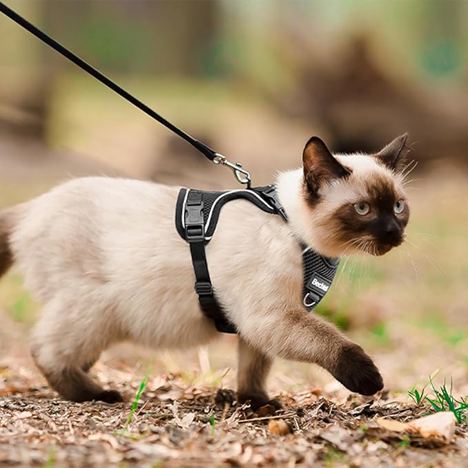 Cat Car Harness and Leash for Walking, The Upgrade Can be Adjusted in Four Directions and Breathable Cat Harness for Anti Escape that can be Fitted and Positioned, Reflective Strips Harness, Black, XS