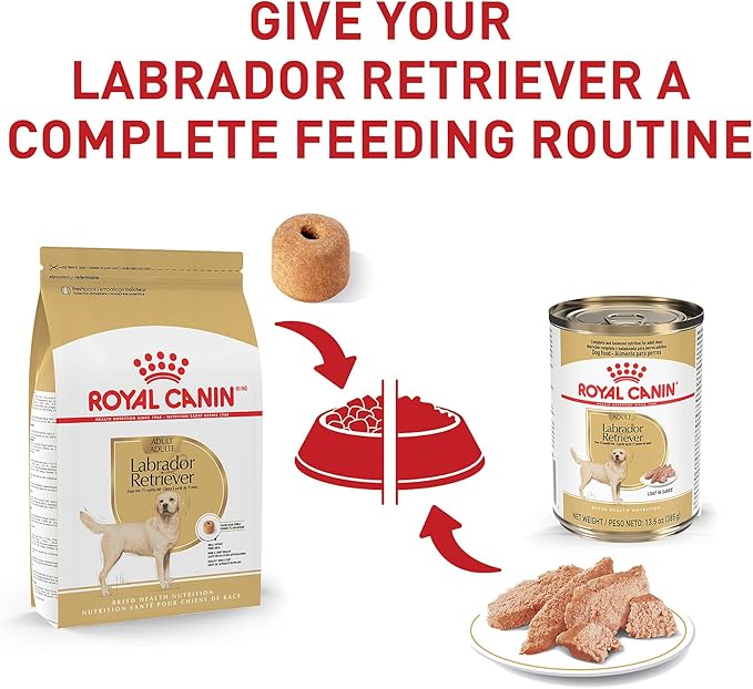 Royal Canin Labrador Retriever Loaf in Sauce Canned Dog Food, 13.5 oz can (12-count)
