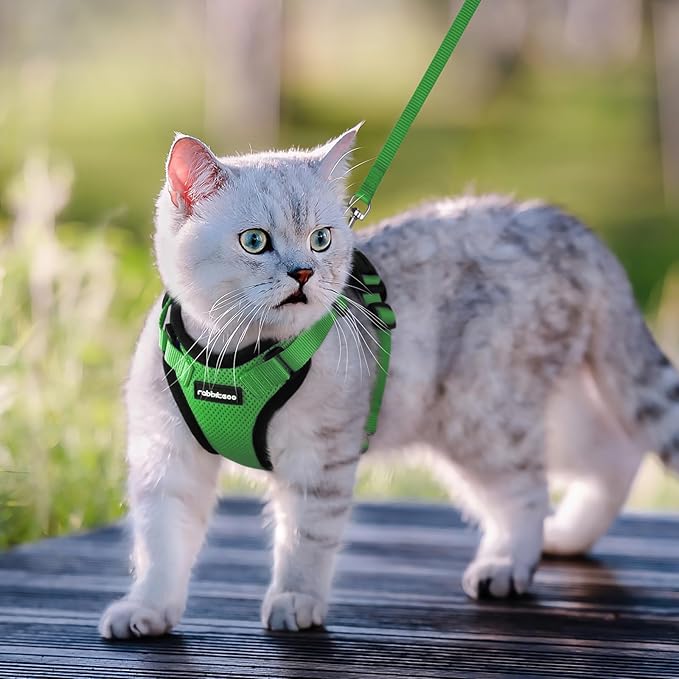 rabbitgoo Cat Harness and Leash for Walking, Escape Proof Soft Adjustable Vest Harnesses for Cats, Easy Control Breathable Reflective Strips Jacket, Grass Green,M