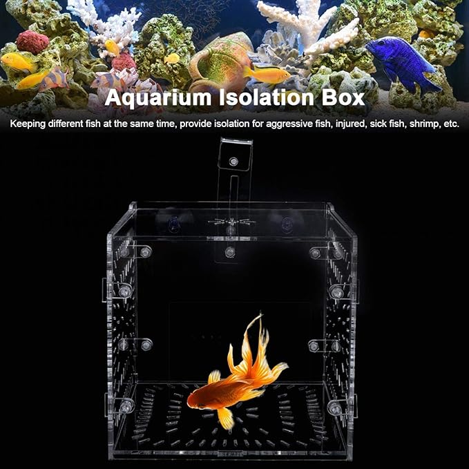 Fish Isolation Breeding Box Acrylic Incubator Floating Aquarium Hatchery Breeding and Parenting Box for Fish Aquarium(15CM*15CM*15CM)