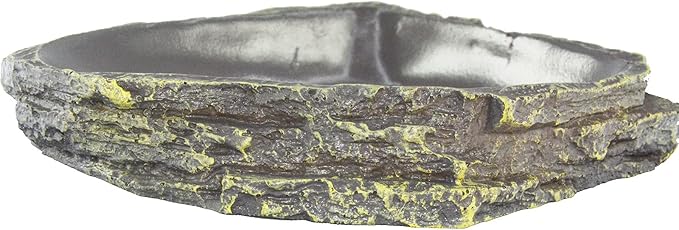 Reptile Bowl Reptile Feeder Terrarium Bowls, Reptile Water and Food Bowls for Lizard Feeding Bearded Dragon Food Dish, Gecko Reptile Water Dish