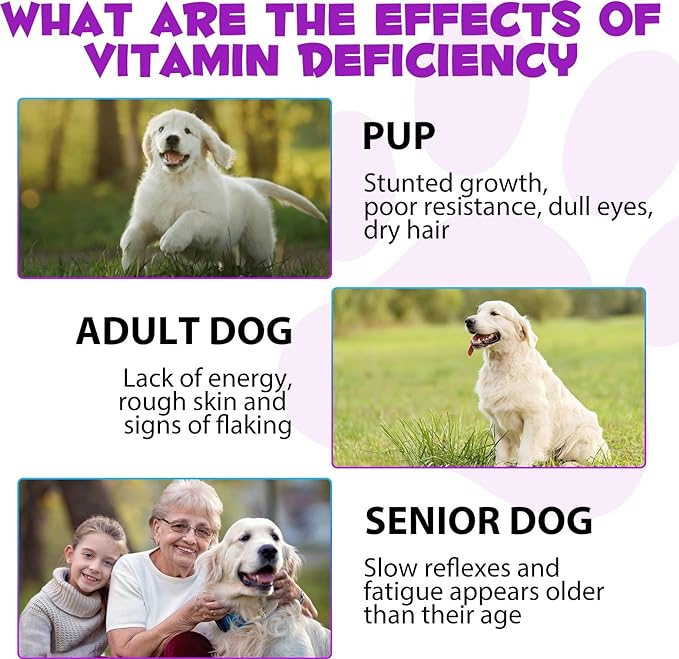 Dog Multivitamin - 15 in 1 Multivitamin Drops for Dogs, Dog Vitamins with Glucosamine Cranberry Supports Joint & Digestion, Skin & Coat, Pets Supplements for Dogs of All Ages, Bacon Flavor - 2 Fl Oz