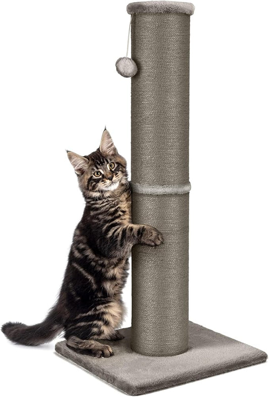 Cat Scratching Post 32 Inch High, 5.5 Inch Large Diameter Natural Sisal Cat Scratch Post, Scratch-Resistant and Durable Tall Cat Scratcher for Indoor Cats, Protect Your Furniture, Gery