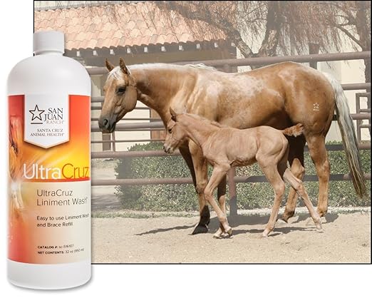 UltraCruz Veterinary Liniment Wash for Horses, 32 oz Refill