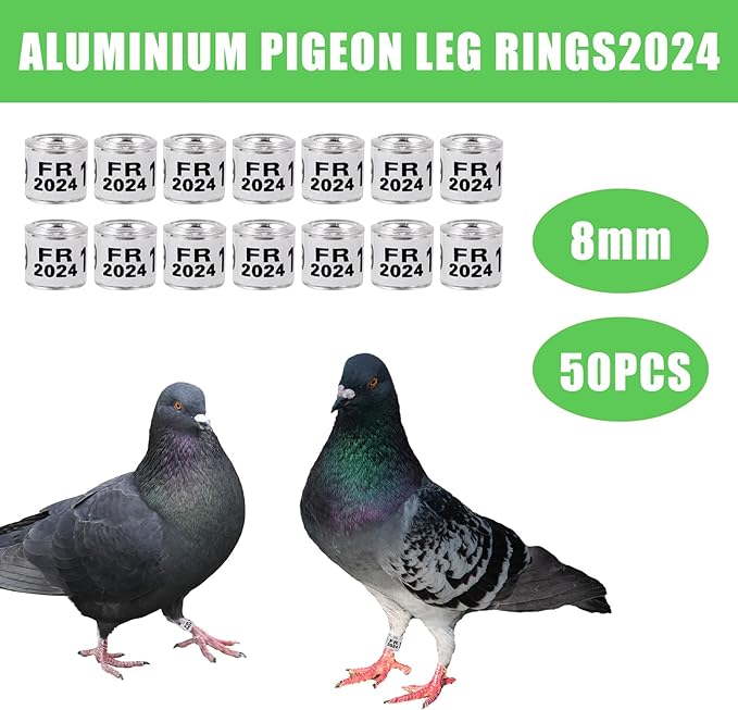 50Pcs Multicolor Aluminium Pigeon Leg Rings with 2024 FR Training Identify Birds Foot Ring 8mm Plastic Bird Leg Bands (White)