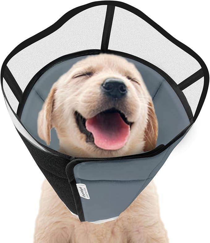 Soft Dog Cone for Dogs After Surgery, Breathable Pet Recovery Collar for Large Medium Small Dogs and Cats, Adjustable Dog Cone Collar, Elizabethan Collar (S, Grey)