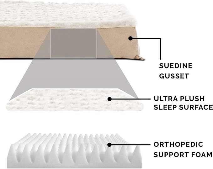Furhaven Orthopedic Dog Bed for Large/Medium Dogs w/ Removable Washable Cover, For Dogs Up to 55 lbs - Ultra Plush Faux Fur & Suede Mattress - Cream, Large