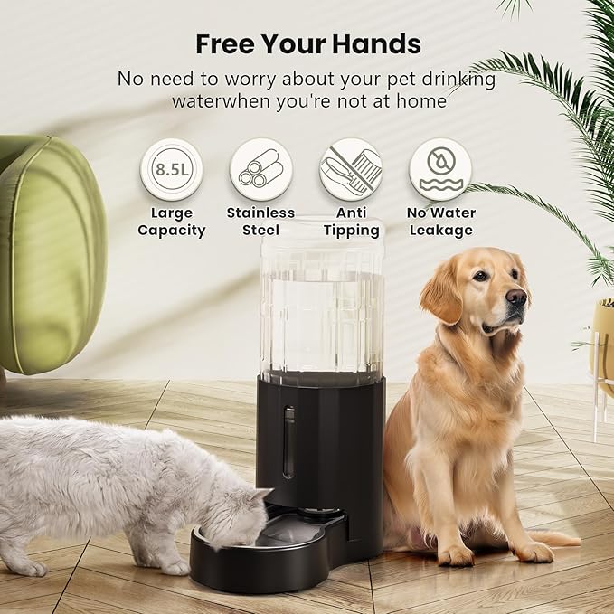 CZPET Automatic 8.5L Dog and Cat Water Dispenser with Stainless Steel Bowl Gravity Waterer,100% BPA-Free,Large Capacity and Drinking Area Noise-Free for Pets