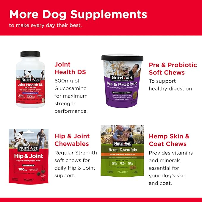 Nutri-Vet Hip & Joint Biscuits for Dogs - Tasty Dog Glucosamine Treat & Dog Joint Supplement - Small Sized Biscuit with 166mg Glucosamine - 19.5 oz - (Package May Vary)