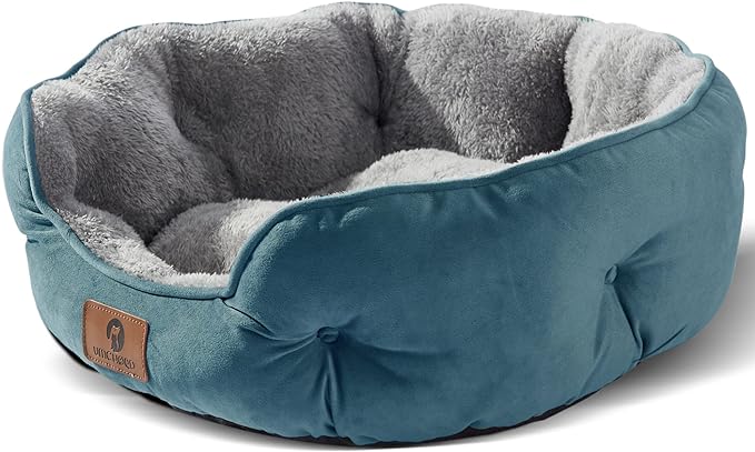 Medium Dog Bed for Medium Dogs, Large Cat Beds for Indoor Cats, Pet Bed for Puppy and Kitty, Extra Soft & Machine Washable with Anti-Slip & Water-Resistant Oxford Bottom, Teal, 25 inches