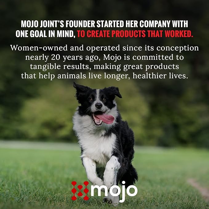 Mojo Joint Supplement for Dogs and Cats, Feline + Canine Food Grade Hip & Joint Supplement with Glucosamine and Chondroitin, Dog & Cat Mobility Supplement (Small, 8 oz)