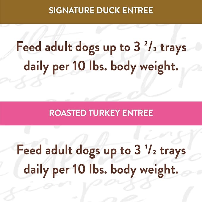 NUTRO ULTRA Grain Free Adult Soft Wet Dog Food Filets in Gravy Taste of the Classics Variety Pack, 3.5 oz. Trays, Pack of 12