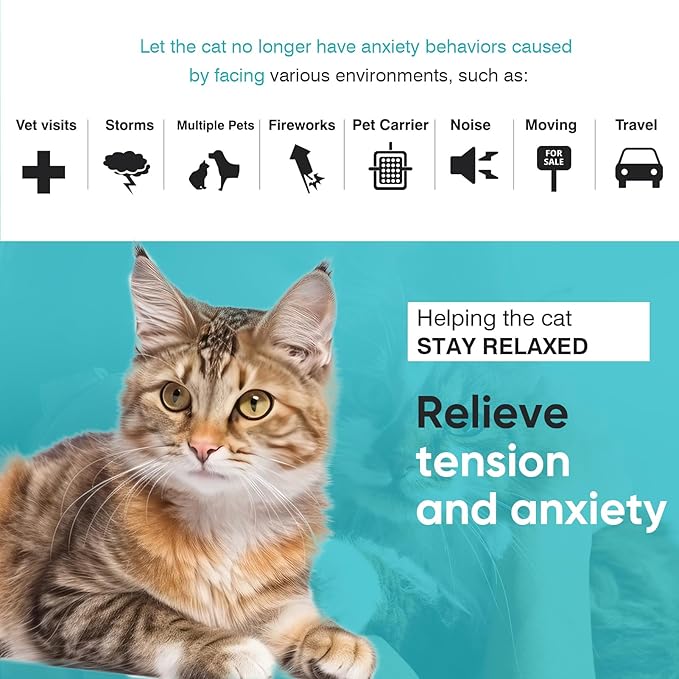 Pheromone Calming Collar Stress and Anxiety Relief Lasts 30 Days Calming Collar for Cats Cat Calm Collar Cat Adjustable Appeasing Calming Collar for Kitten Kitty Calm Collar Make Cat Relaxed 4 Pack