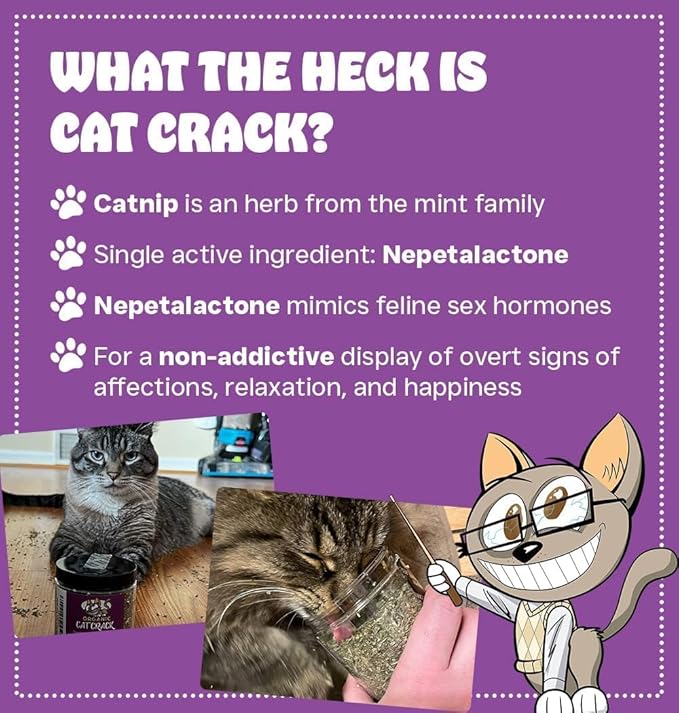 Cat Crack Organic Catnip, 100% Natural Cat Nips Organic Blend That Energizes and Excites Cats, Safe Catnip Treats Used for Cat Play, Cat Training, & New Organic Catnip Toys for Cats(1 Cup Organic)