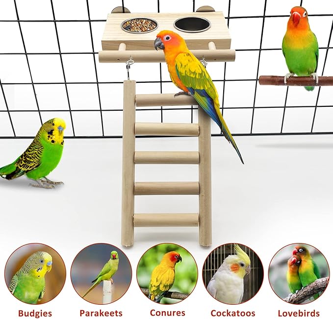 Tfwadmx Bird Food Stainless Steel Cups Wooden Perch Stand Hanging Feeder Bowls Feeding and Watering Supplies for Parakeets Conures Cockatiels Budgie Parrot