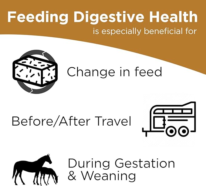 Formula 707 Digestive Health Equine Supplement, 4lb Bucket – Probiotics, Prebiotics and Digestive Enzymes for Horses