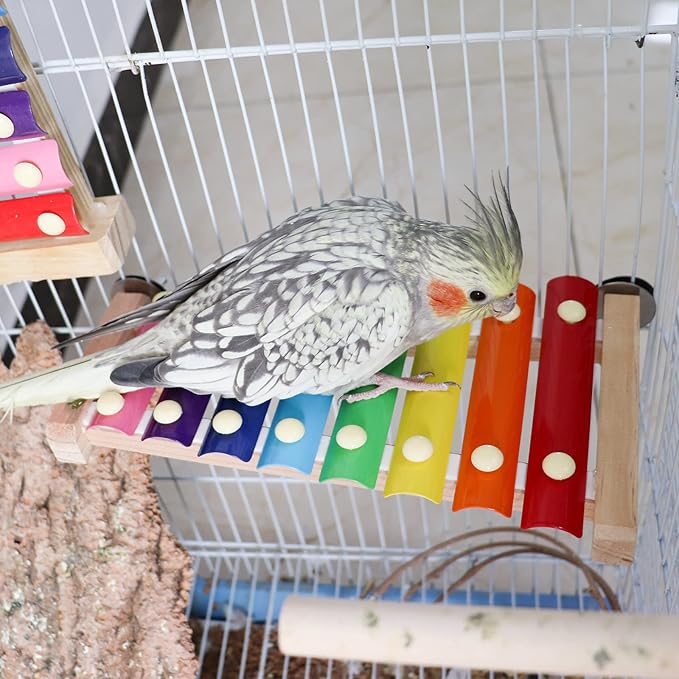 Colorful Bird Xylophone Toy, Funny Xylophone Toy with 8 Metal Keys, Bird Cage Toy Accessories for Chicken Bird Parrot Parrot Parakeet Budgies Love Birds