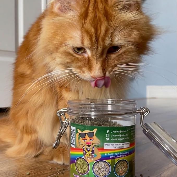 Meowijuana Catnip Pawty Mix Jar - Premium Organic Catnip for Cats - Irresistible Blend for Feline Entertainment, Fresh Catnip for Extended Playtime - Elevate Your Cat's Enjoyment