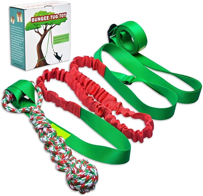 LOOBANI Outdoor Bungee Tug Toy, Dog Toy Hanging from Tree for Small to Large Dogs, Interactive Exercise Play Rope Cord & Tether Tug, Durable Spring Pole Rope for Tug of War, with Chew Rope Toy (Green)