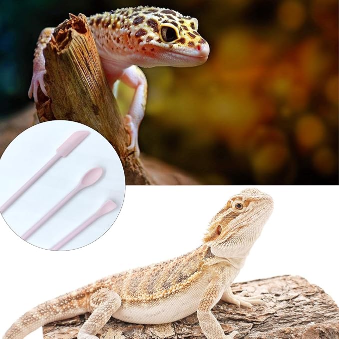 2Pcs Reptile Powder Fruit Mixing Stirring Food Feeding Spoon Reptile Stirring Food Feeding Spoon fit Crested Geckos, Lizards, Bearded Dragons,Chameleons and Other Reptiles