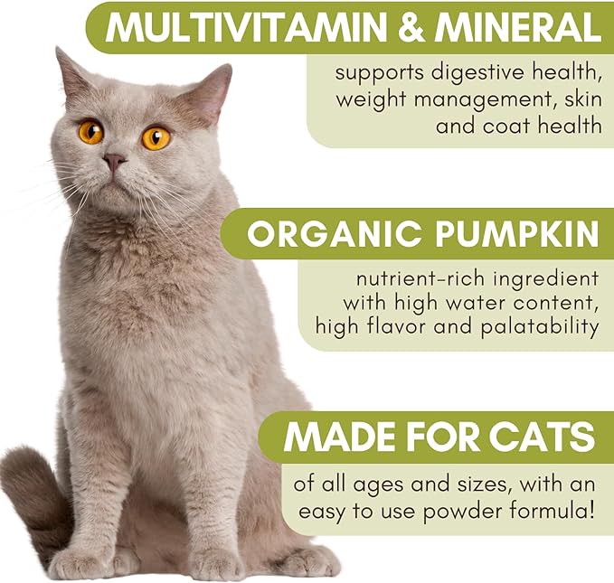 Wholistic Pet Organics Feline Complete: Cat Multivitamins Powder - Immune Support Supplements for Cats - Antioxidants - Organic Pumpkin Flavor - 4 oz