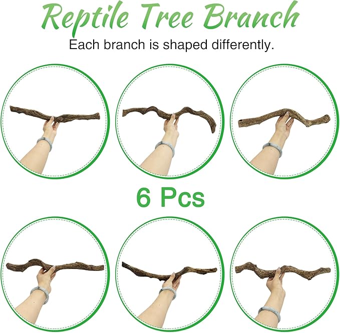 Reptile Climbing Branch Decor Wood Snake Terrarium Branches 6 Pack Lizard Habitat Decorations Natural Forest Tree Trunk Ornament for Bearded Dragon Geckos Chameleon Frog (14-16 inch)