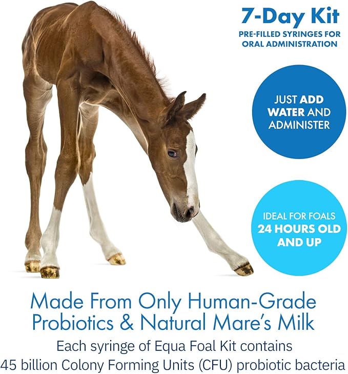 HealthyGut Foal Kit for Horses Dietary Supplement, All-Natural Formula (14 g)