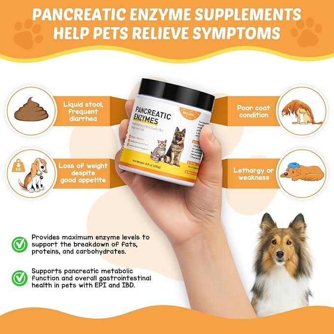 8.8 Ounces Pancreatic Enzymes for Dogs - 10x Pancreatin - Dog Digestive Enzymes Powder for EPI - Helps Restore Normal Weight, Supports Pancreatic Issues and Relieves Digestive Stress