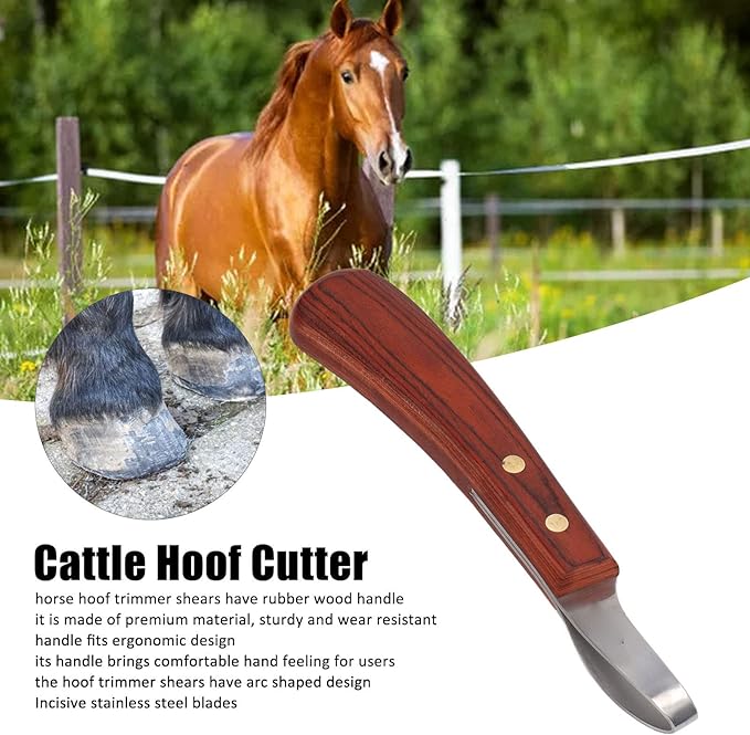 Hoof Trimmer Shears Stainless Hoof Knife Loop Oval Hoof Knife Steel Cutter Rubber Wood Handle Multipurpose