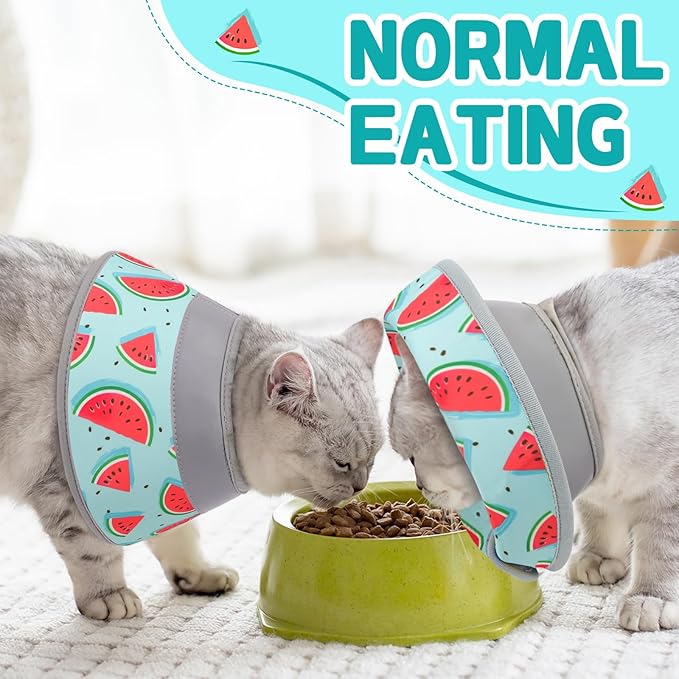 Cat Cone Collar Soft, Comfortable Cat Recovery Collar Pet Cone for Small Large Cats, Lightweight Elizabethan Collar for Cats Kittens After Surgery Prevent from Licking Wounds, Light Blue, S