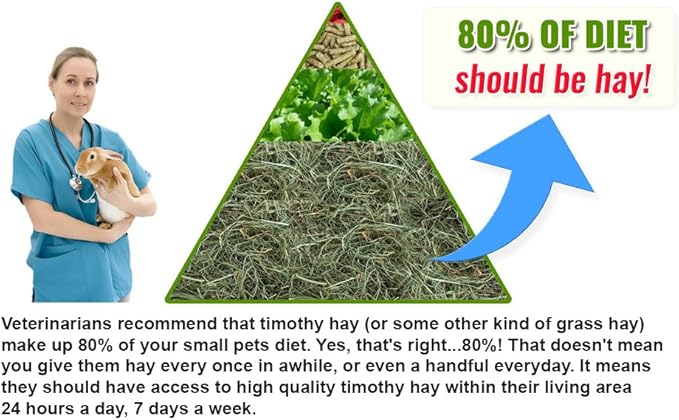 Small Pet Select 2nd Cutting Perfect Blend Timothy Hay Pet Food for Rabbits, Guinea Pigs, Chinchillas and other Small Animals, Premium Natural Hay Grown in The US, 25 LB