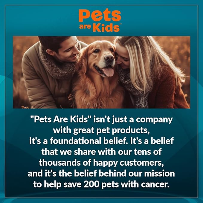 Pets Are Kids Too Oatmeal Dog Shampoo Baking Soda Hypoallergenic Anti Itch Moisturizing Soothing Deodorizing Pet Care Safe Puppy Shampoo Sensitive Skin Cat Shampoo - Coconut Based Cleanser 17 fl oz