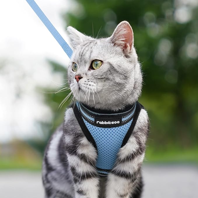 rabbitgoo Cat Harness and Leash Set for Walking Escape Proof, Adjustable Soft Kittens Vest with Reflective Strip for Cats, Comfortable Outdoor Vest, Light Blue, M