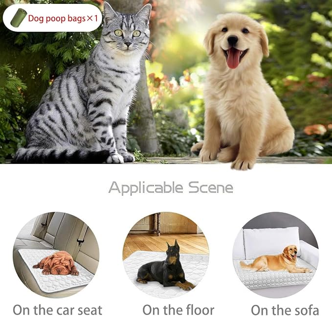 MICROCOSMOS Summer Cooling Mat & Sleeping Pad- Water Absorption Top, Materials Safe, Easy Carry, EZ Clean. Keep Cooling for Pets, Kids and Adults.(Grey, 40" x 28")