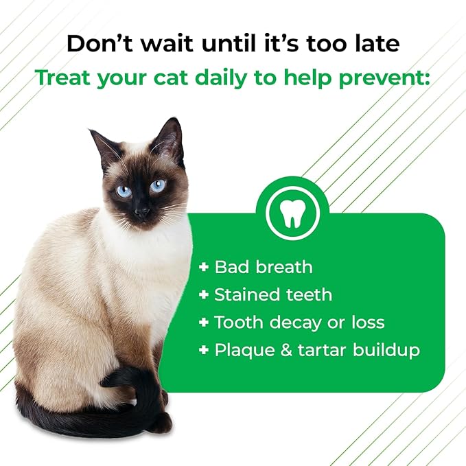 VetriScience Perio Plus Cat Teeth Cleaning Bites - Advanced Cat Breath Freshener - Dual Action Cat Dental Care Formula for Plaque Control & Fresh Breath, 60 Chews, Chicken Flavor