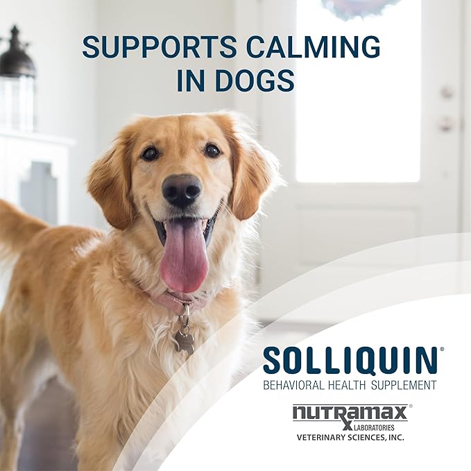 Nutramax Solliquin Calming Behavioral Health Supplement for Large Dogs - with L-Theanine, Magnolia/Phellodendron, and Whey Protein Concentrate, 75 Soft Chews