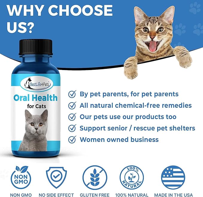 BestLife4Pets Oral Health for Cats - Cat Dental Care Supplement for Stomatitis Gingivitis and Gum Disease Cat Supplies for Dental Care - Easy to Use Pills (2 Pack)