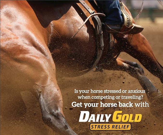 Redmond Daily Gold Natural Healing Clay for Gastric Ulcers in Horses (Stress Relief Pre-Race Paste) (3 - Pack)