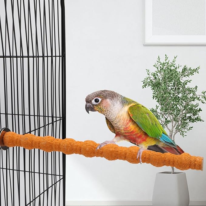 Hypeety Wood Perch Stand Paw Grinding Stick Toy Colorful Pet Bird Cage Stand Platform for Bird Parrot Budgies Parakeet Cockatiels Cage Accessories (Random Color) (10in / 25cm)