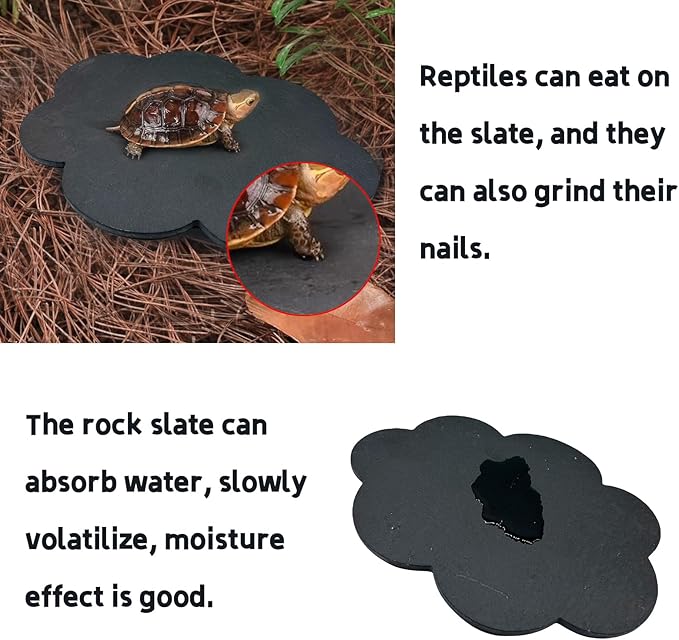 Reptile Basking Platform 9.6''x7.6'' Tortoise Rock Plate Feeding Food Feeding Bowl Dish Turtle Bathing Platform Resting Slate for Lizard Gecko Newt Bearded Dragon Chameleon Frog Hermit Crab