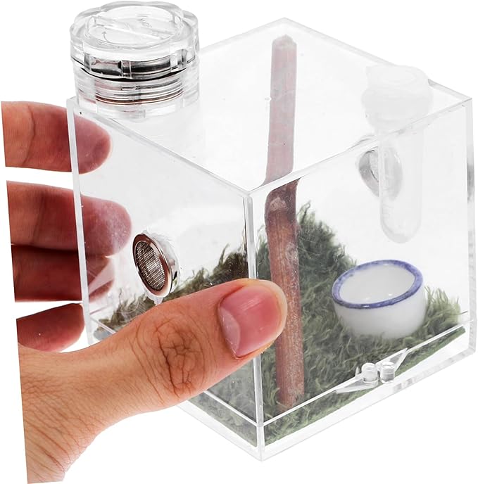 Mipcase 5pcs Box Jumping Spider Breeding Box Spider Habitat Cage Jumping Spider Enclosure Accessories Small Spider Enclosure Tarantula Enclosure Tank Acrylic Pet Little Spider Ceramics